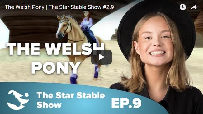 Welsh Ponies are Coming to Star Stable