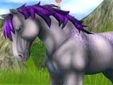 Grey/ purplish wild horse