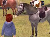 Choosing a horse in Time To Ride 2: Saddles And Stables