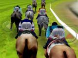 iHorse Racing