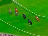 Horse Racing 3D - Stay the Distance