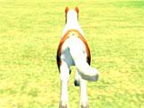 Pony Horse Kids Race 3D