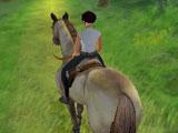 Horse Life Adventures: Riding on a forest path