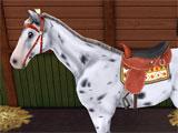 Horse World 3D: My Riding Horse cleaning up horses