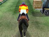 Champions Riding Trails 3D
