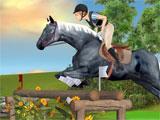 My Horse & Me 2: Riding for Gold