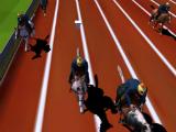 Making a turn in Horse Racing 3D 2015 Free Making a turn in Horse Racing 3D 2015 Free