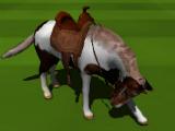 Selecting a horse in Horse Racing 3D 2015 Free Selecting a horse in Horse Racing 3D 2015 Free