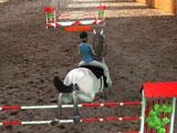 Horse Jumping 3D Horse Jumping 3D