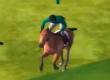  Horse Racing Adventure - Tournament and Betting game