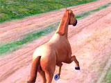 Horse Run gameplay
