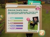 Horse profile and owner in HorseHotel