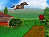 Horse Race Riding Agility: Ramps