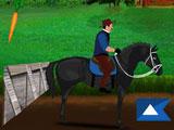 Horse Race Riding Agility