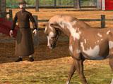 Ultimate Horse Simulator