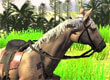 Horse Racing Game game