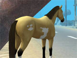 Hill Cliff Horse gameplay