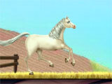 Princess Horse Caring 3 exciting mini-game