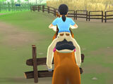 Horse jumping in My Riding Stables: Your Horse Breeding