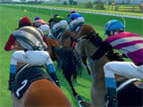 Rival Stars Horse Racingintense race