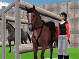 Horse Jumping Show 3D