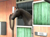 Champion Horse Racing