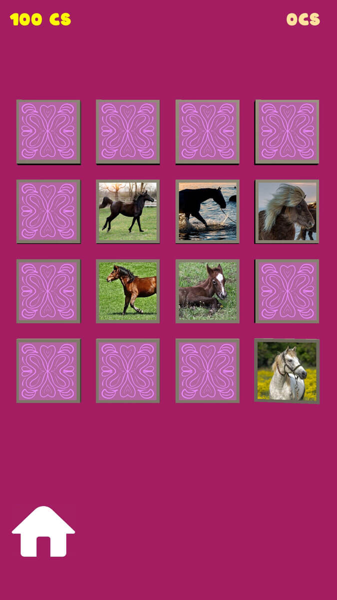 Horse Pet Memory Game Horse Games Online