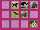 Horse – Pet Memory Game