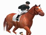 Training in Race Clubs.com Race Clubs.com Training