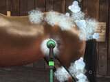 Washing in Equestriad World Tour