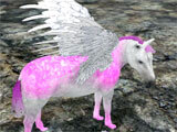 Beautiful horse in Clan of Pegasus – Flying Horse Clan of Pegasus – Flying Horse beautiful horse