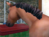 Horse World: My Riding Horse
