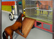 Wild Horse Zoo Transport Truck Simulator game