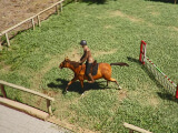 Horse Shelter 2022 Horse Shelter 2022