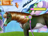 Horse Caring Mane Tressage Horse Caring Mane Tressage