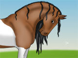 Creating the first horse in the game