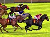 iHorse Racing 2 Exciting Races