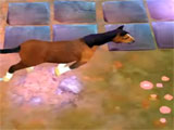 Horse Quest by App Holdings Horse Quest by App Holdings