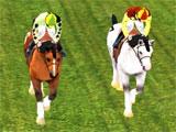 Horse Racing Simulator 3D