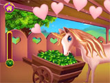 Unicorn Pony Horse Care Game Unicorn Pony Horse Care Game