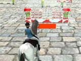 Fun track in Horse Jumping 3D Horse Jumping 3D fun track