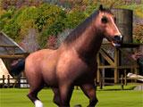 Horse Simulator 3D majestic horse