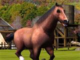 Horse Simulator 3D