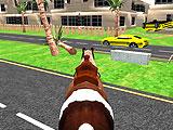 Wild Pony Horse Simulator