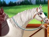 Customizing horse in Princess Horse Caring Princess Horse Caring customizing horse