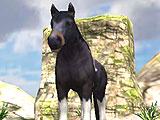 My Cute Pony Horse Simulator
