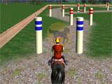 Equestrian Horse Racing track