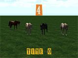 Equestrian Horse Racing level 4