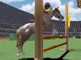 Show Jumping: Jumping over the vaults