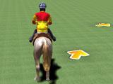 Show Jumping: Training Course 